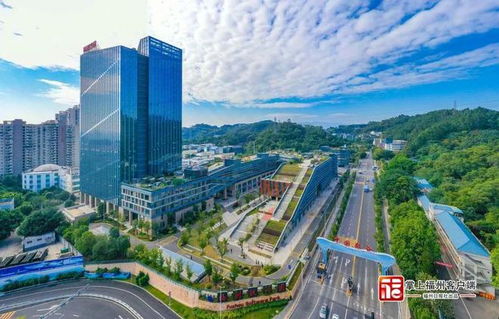 省委常委 福州市委书记林宝金 增强争优争先争效意识 推动党建领航经济领跑民生领先